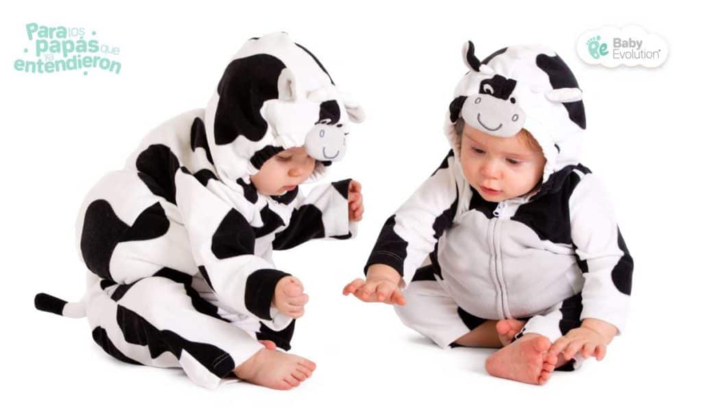 5 recomendaciones para ofrecer la leche de vaca y sus derivados.