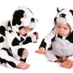5 recomendaciones para ofrecer la leche de vaca y sus derivados.