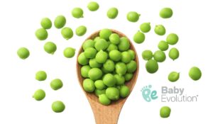 Cómo ofrecer la arveja verde