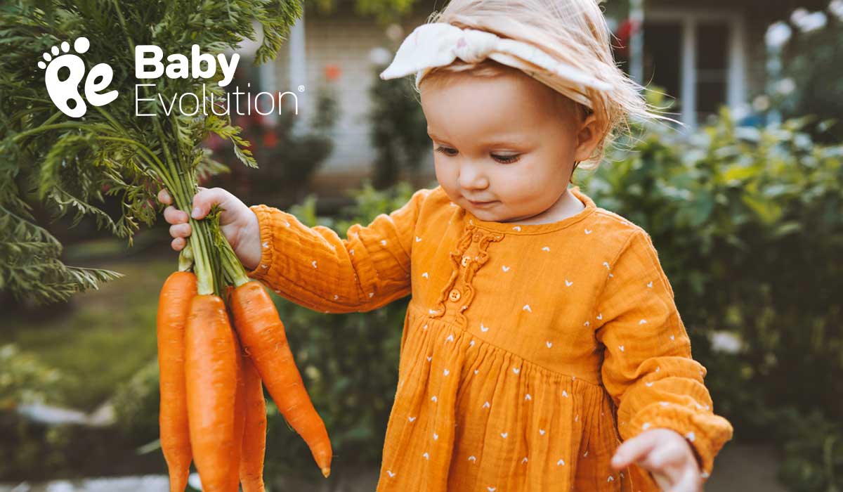 niña con zanahorias baby evolution